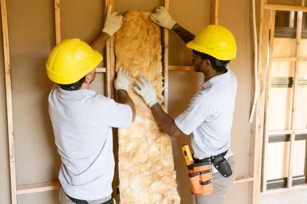 Best Spray Foam Insulation  in West Van Lear, KY