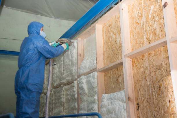 Best Attic Insulation Installation  in West Van Lear, KY